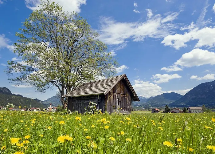 ゴールデン ローズ ホテル 3*