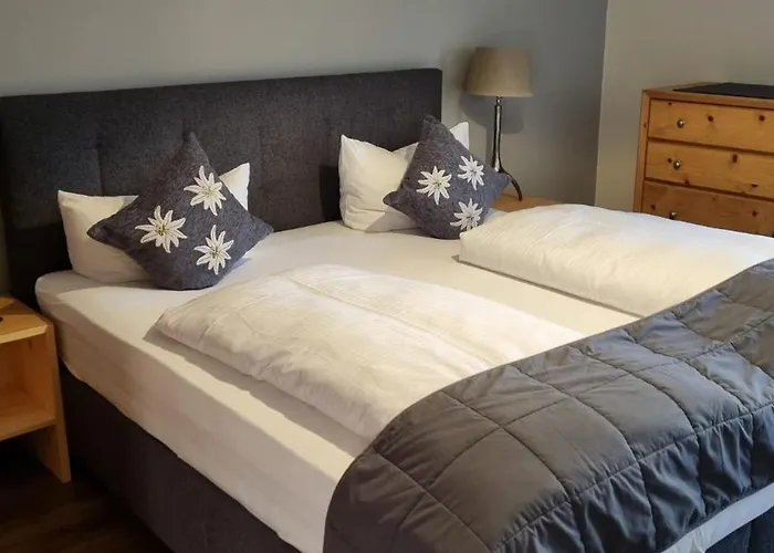 酒店 金玫瑰酒店 罗伊特