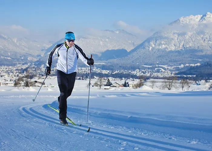 酒店 金玫瑰酒店 罗伊特